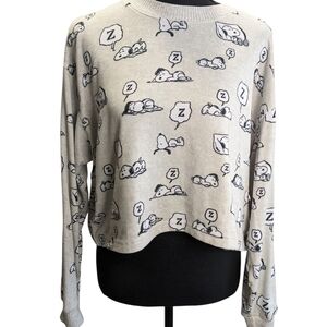 American Eagle Outfitters Snoopy Print Crop Sweater - Gray